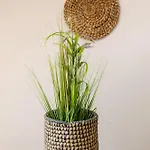 Apartment Stylove V Centre Modry Pre Vikendovy Oddych Aj Svadobcanov Modra