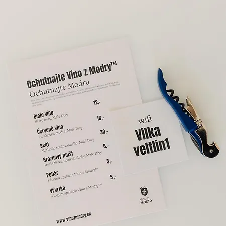 Klimatizovane V Centre Modry Pre Svadobcanov, Vikendovy Oddych Aj Remote Work * Modra